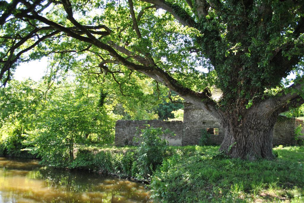 Le Manoir De La Vieille Douve Bed & Breakfast Bourg-d'Ire Exterior photo